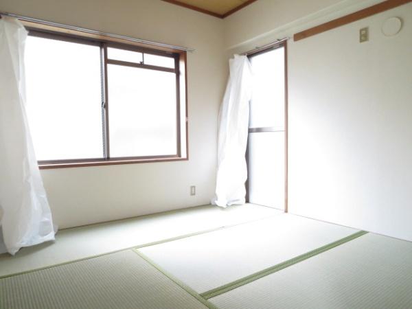 セルバ山本