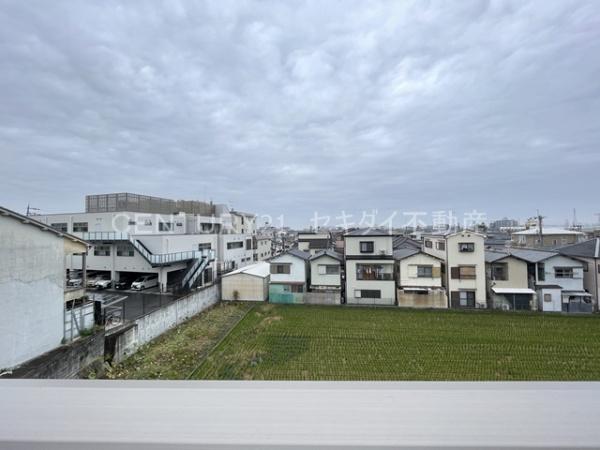 アンジュ　ニシオ