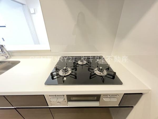 ヴェルデ ブリッサ Ⅲ(キッチン)