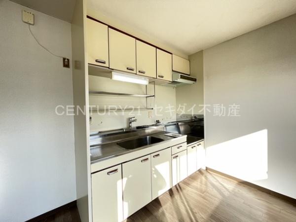 レジデンスタカラ(キッチン)