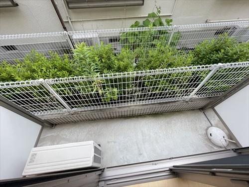 フジパレスパルトネールさとの1番館(バルコニー)