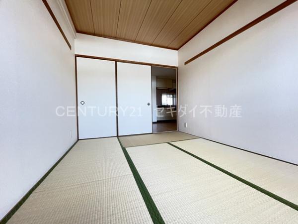 シャトーレーヌ