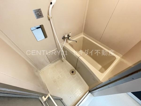 シャトーレーヌ