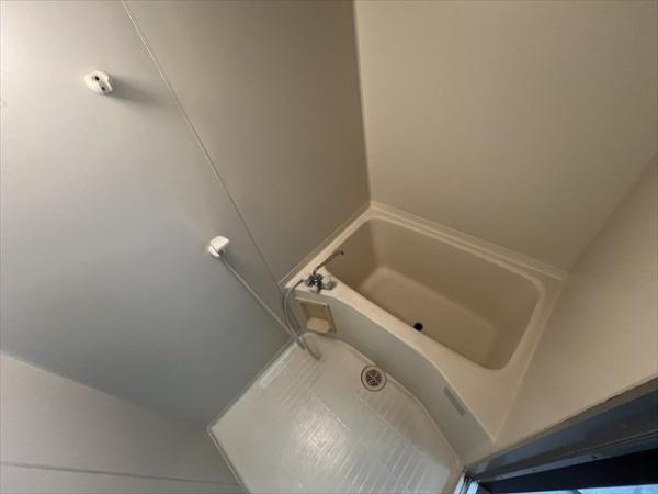 ヴェルドミール山本