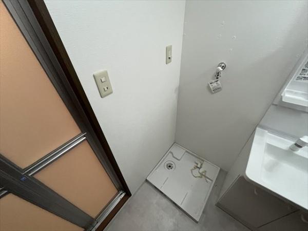 ヴェルドミール山本