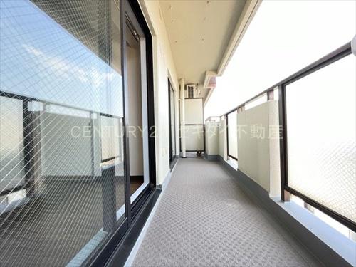 ハイグレード志紀