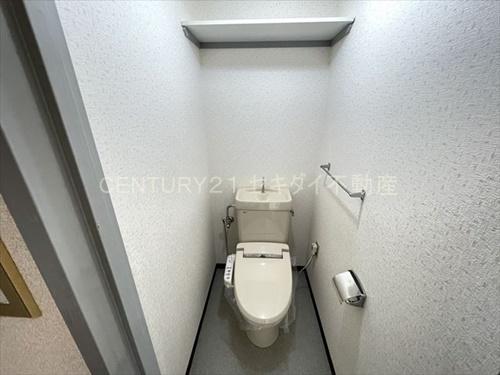 ハイグレード志紀