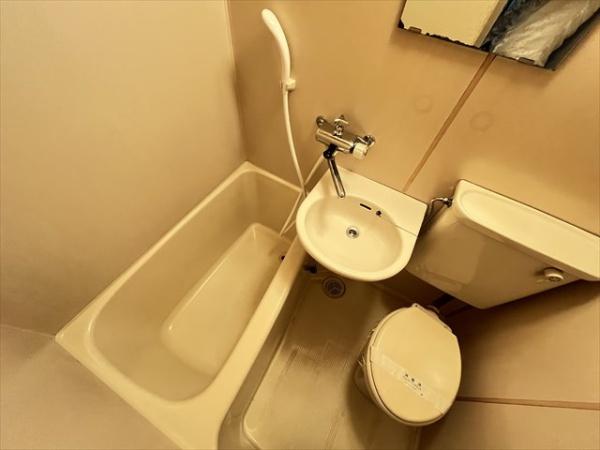 ドラゴンハイツ23