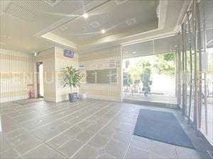 シャルマンシェソワ