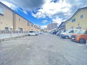 シャルマンシェソワ