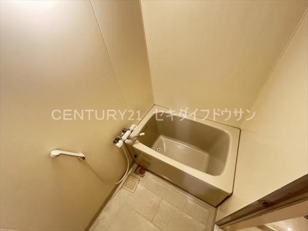 シャルマンシェソワ