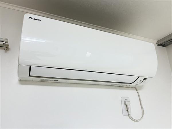 珊瑚