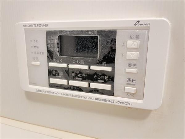 珊瑚