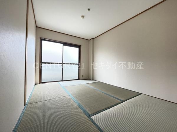 ドゥエル志紀