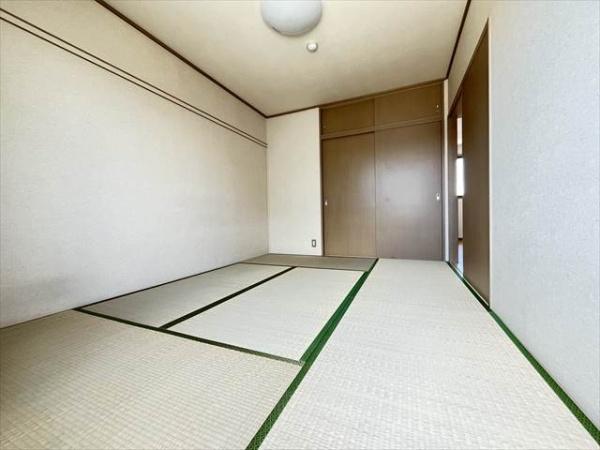 オリーブ