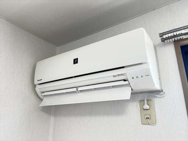 オリーブ