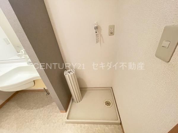 メゾンカムス