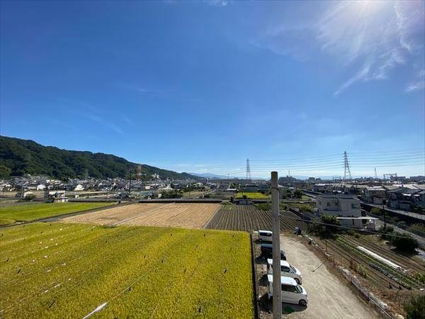 ビューハイム茶の木