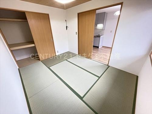ドエル光南