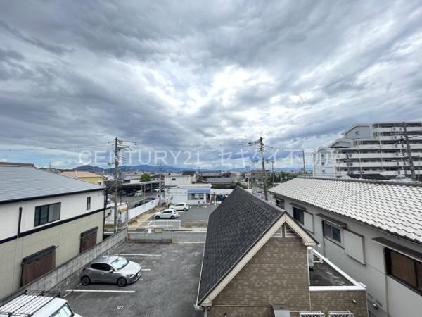ティグリス枝川