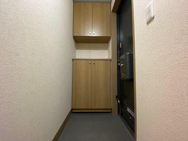 メゾンモチの木