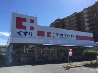 サンメゾン荘内(ココカラファイン八尾高美店)