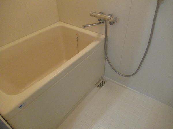 シャトレ高安