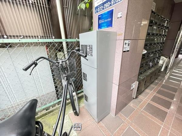 ブルージェつばき