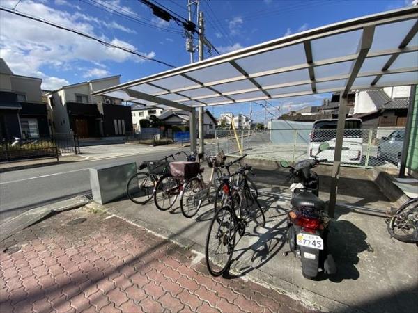サニー柏村