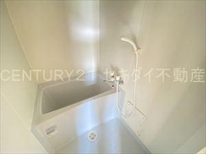 アンプルールフェールREALIFE