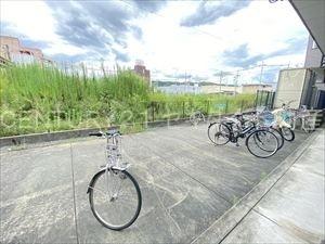 アンプルールフェールREALIFE