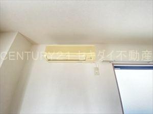 アンプルールフェールREALIFE