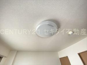 アンプルールフェールREALIFE