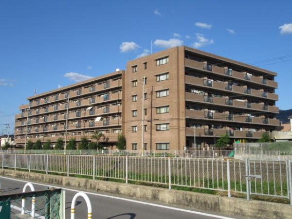 レックス八尾山本