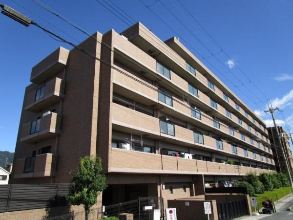レックス八尾山本