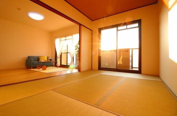 レックス八尾山本