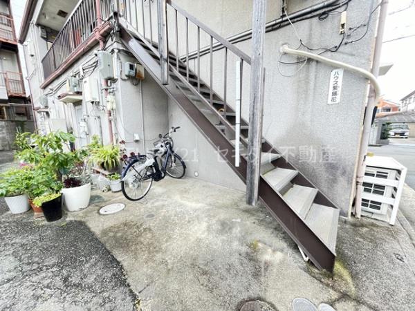 ハウス紫陽花