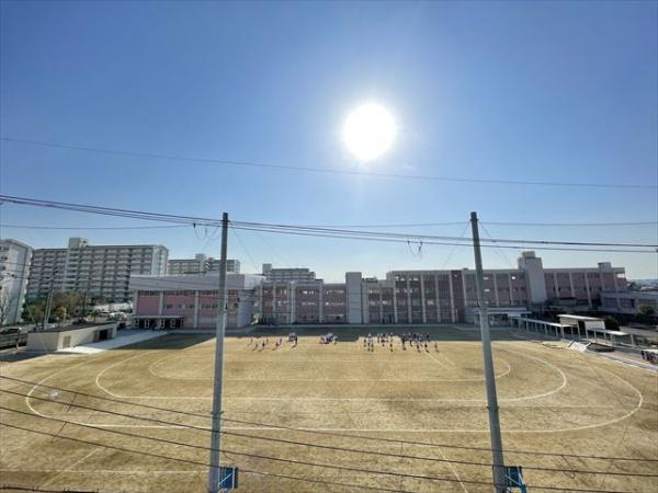 アクティ金田