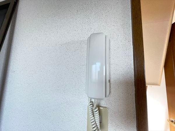 アミニティビッグワン