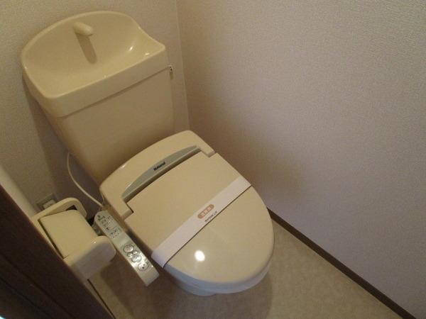 アムールKソロ
