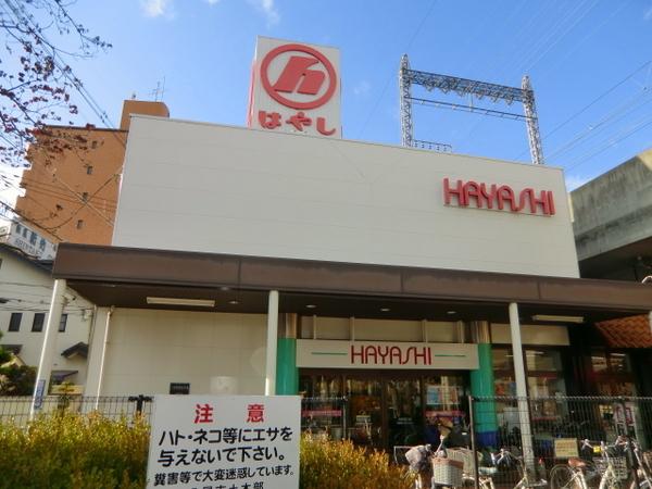 ピアパーク美園(はやし八尾モール店)