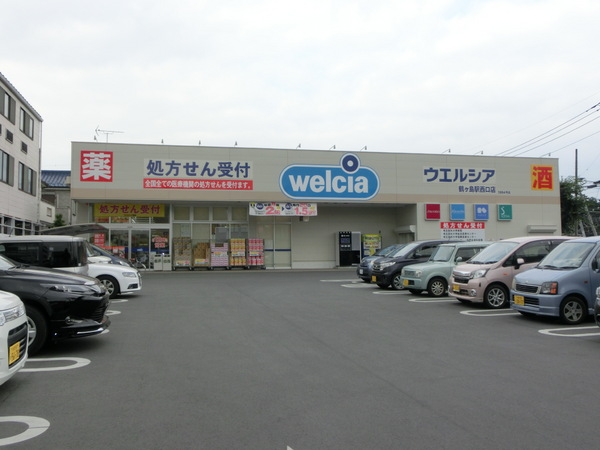 ミレニアム・リュウ(ウエルシア鶴ヶ島駅西口店)