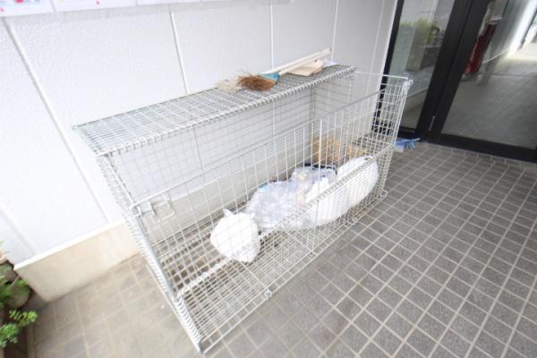 モデラート