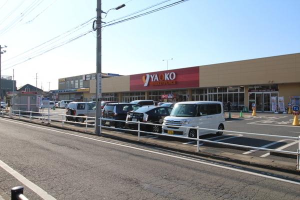 ヤングコスモス(ヤオコー坂戸千代田店)