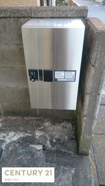 ヤングコスモス