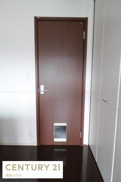 ブルータビー