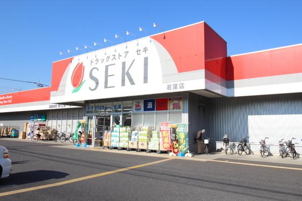 ウィスタリア藤田(ドラッグストアセキ若葉店)