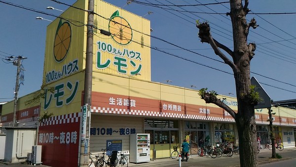 新井ハイツ(100円ハウスレモン脚折店)