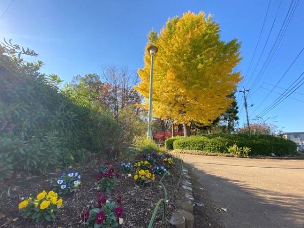 サンハイツ若葉(鶴ヶ島富士見中央近隣公園)