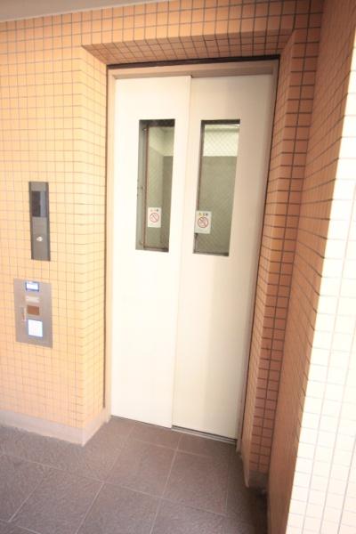 ウィスタリアオーク